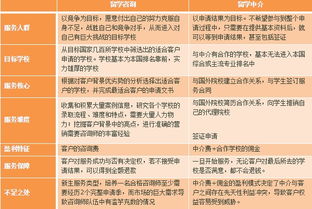 自費出國留學 咨詢與中介服務的差異解析